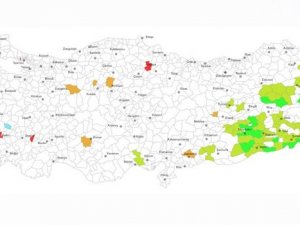 İşte seçilen kadın başkanlar