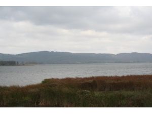 Bir Zamanlar Suyu İçilen Göl Şimdi Bataklığa Dönüştü