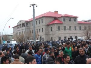 Ağrı'da Seçimlerin İptali İle Hayat Normale Döndü