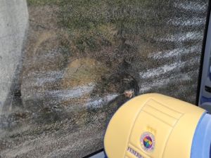 Taşlanan Fenerbahçe Otobüsünün İçinde Oyuncular Hatıra Resim Çektirdi