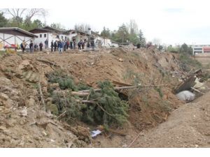 Tiyatro Arazisine Yapılan Gece Baskınında Yüzlerce Ağaç Kesildi