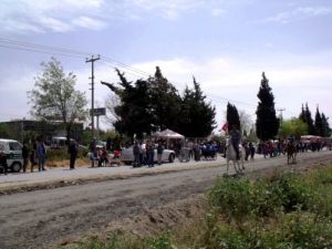 Söke'de Rahvan At Yarışları Yapıldı