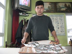 Balık severlerin uğrak adresi oldu