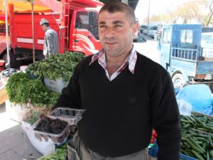 Karadut yaşlanmayı geçiktiriyor