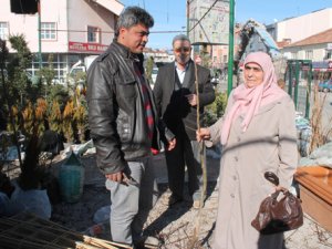 Ceviz ve badem fidanı revaçta