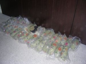 Silifke'de 25 Kilogram Esrar Ele Geçirildi