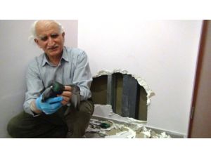 Mahsur Kalan Güvercini Kurtarmak İçin Duvarı Deldiler