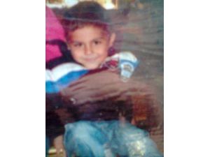 2 Yaşındaki Ali Can, Babasının İşyerinde Tomruğun Altında Kalarak Can Verdi