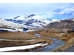 Ardahan'da Bahar Kendini Göstermeye Başladı
