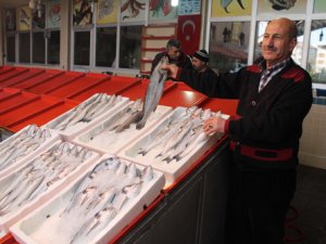 Balık Hali'nde durgunluk yaşanıyor