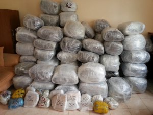 Konya'da yarım ton esrar ele geçirildi