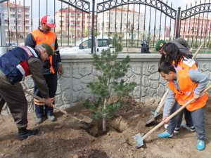 Jandarma'dan her şehir için bir fidan