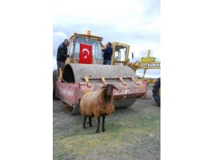 Vali Azizoğlu: Ardahan'da Asfaltsız Köy Yolu Kalmayacak