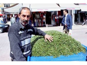 Sivas'ın Yöresel Lezzeti Madımak, Tezgahlardaki Yerini Aldı