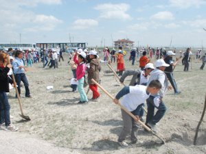 Karatay Belediyesi 2 bin 500 fidan dikti