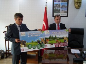 Uçaklar tilkiler için havalandı