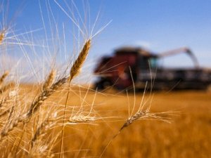 Buğday ithalatı uyarısı