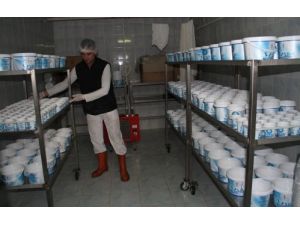 Diplomalı Ellerden Nefis Peynirler