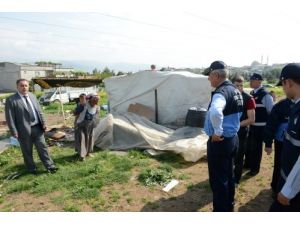 Zabıtadan At Arabası Ve ‘çek-çek’ Baskını