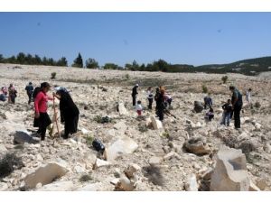 Gaziantep’te Gazeteciler İçin Hatıra Ormanı