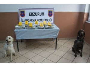 Erzurum'da 17 Kilo Esrar Ele Geçirildi