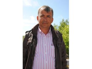 Köylü, Kötü Koku Yayan Domuz Çiftliğinin Kaldırılmasını İstiyor