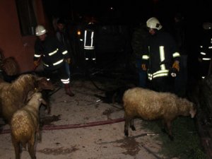 Ahırda yangın çıktı: 1 keçi öldü