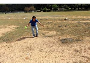 Çekirgeler 5 Yıllık Geleneklerini Bozmadı, Tarım Arazilerini Yine İstila Etti