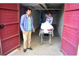 Zehirli Mantar Yiyen Kadın Karaciğer Nakline Rağmen Kurtarılamadı