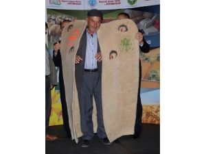 Sertifika Alan Çobanların Kepeneklerini Lüks Otelde Vali Giydirdi