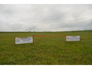 Islah Edilen Mera Alanı Kurdele Kesilerek Hizmete Açıldı