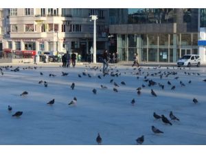 Taksim Meydanı 1 Mayıs’ta Güvercinlere Kaldı