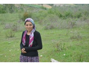 Kadirli’de Toprağa Gömülü Bebek Cesedi Bulundu