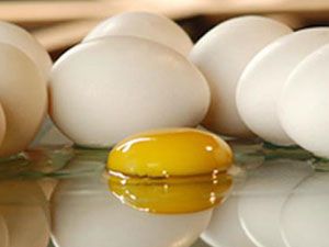 Çocuğunuza zihinsel gelişimi için günde 1-2 yumurta yedirin