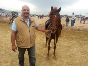 Rahvan Atlarının Yarış Coşkusu