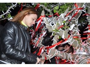 Romanlar Tunca Nehri’nde 'Arındı'