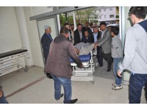 Muş’ta Trafik Kazası: 5 Yaralı