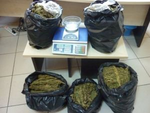 Uyuşturucuyu Klozete Attı, Ağacın Altına Saklandı