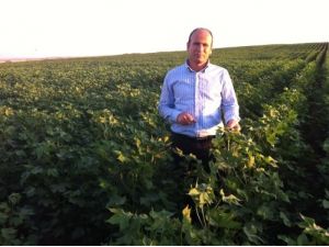 'Çiftçi Dedaş’ın Talep Ettiği Elektrik Bedelini Ödeyemez'