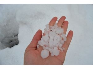 1 Saat Yağan Dolu Silifkeli Çiftçileri Vurdu