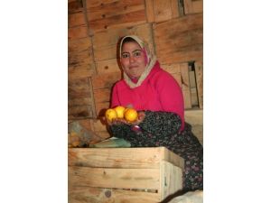 Limon Deposunda Buruk Anneler Günü