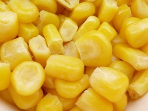 Bardakta mısır satışlarında hastalık riski