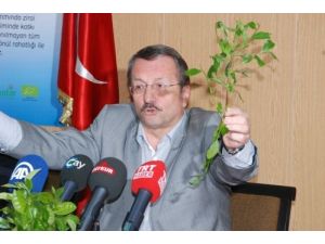 'Çaykur Fabrikaları Kereste Fabrikası Değil, Çay Fabrikasıdır'