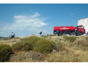 Uçurtma Festivali Sırasında Tarihi Değirmenler Tepesi'nde Yangın Çıktı