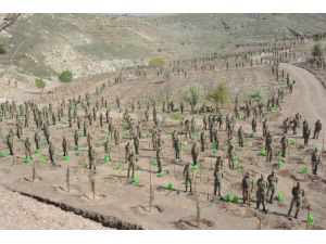 Mehmetçik 10 Bin 473 Adet Fidan Dikti