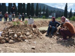 Madenci Şehitliği Ziyaretçilerle Dolup Taşıyor