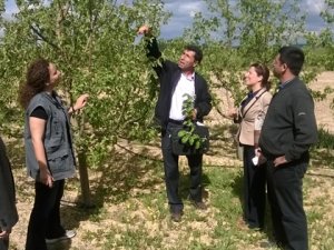 Ürün kalitesi artıyor