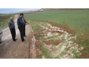 Kırıkkale'de Dolu Hububata Zarar Verdi