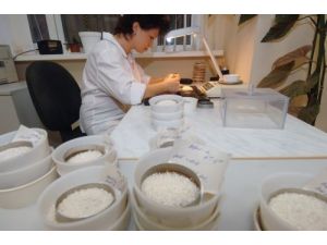 Rusya, Türkiye’den İthal Edilen 48 Ton Pirince El Koydu