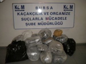 Narkotik Köpeği Alfa Destekli Nefes Kesen Uyuşturucu Operasyonu